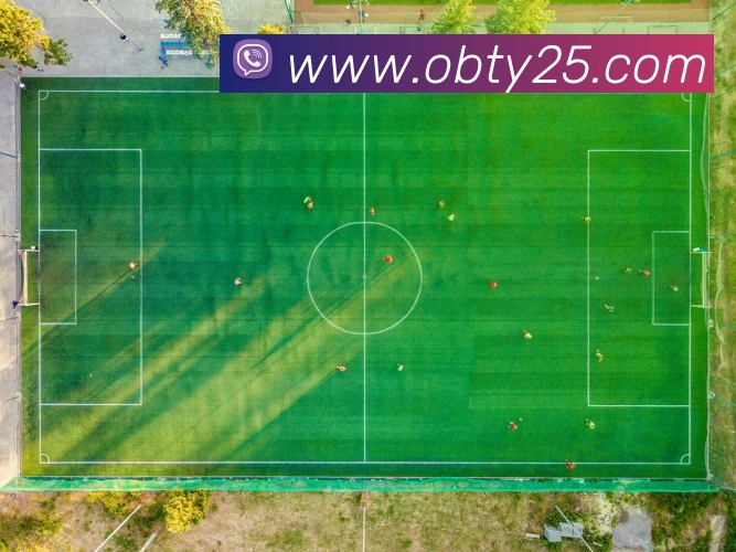 ob欧宝官网平台生态图