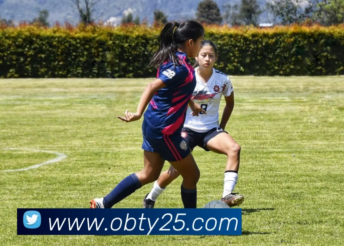 ob欧宝官网APP 封面图